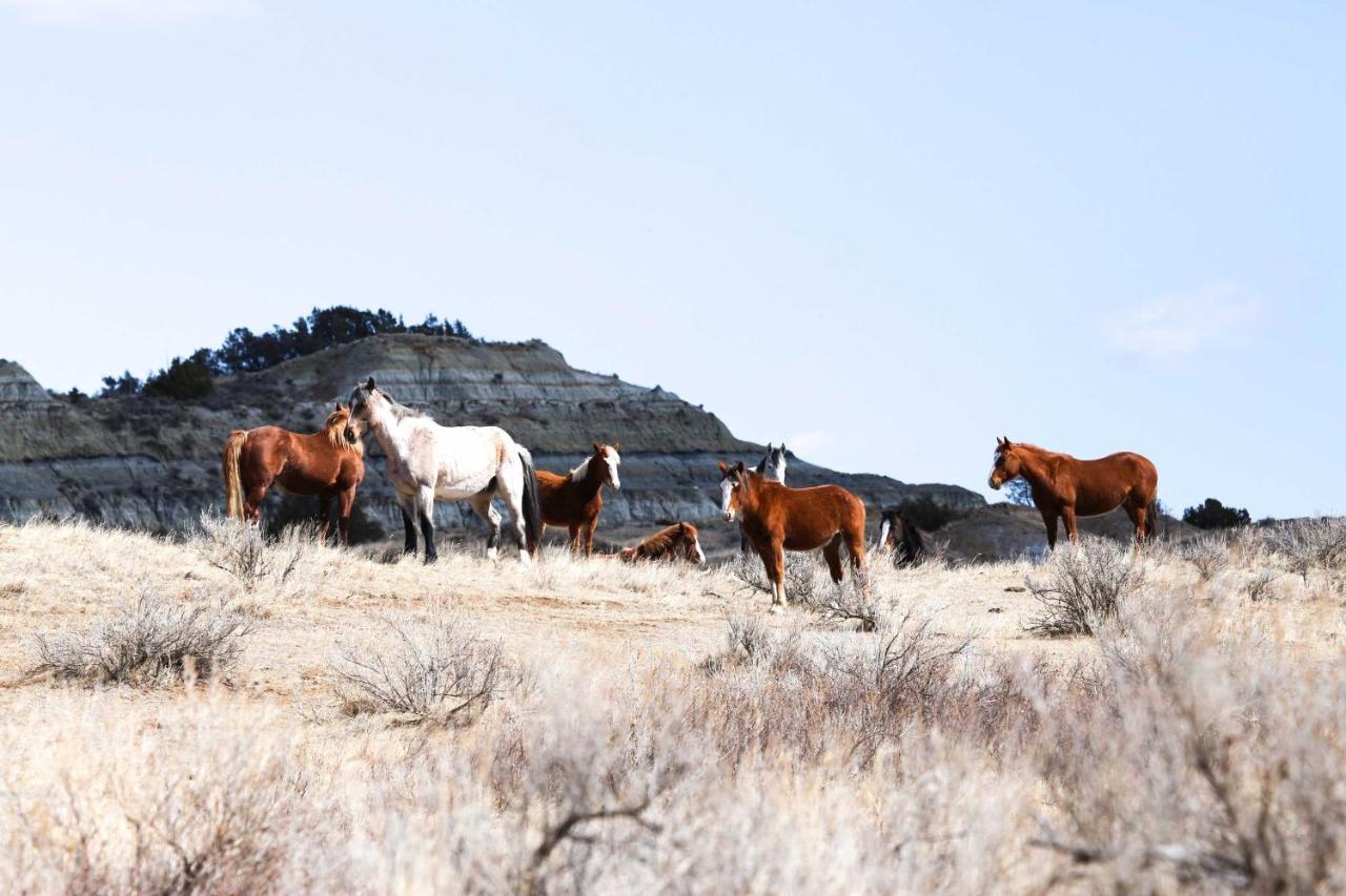 Badlands Suite Less Than 1 Mi To Teddy Roosevelt Park! Medora Exterior photo