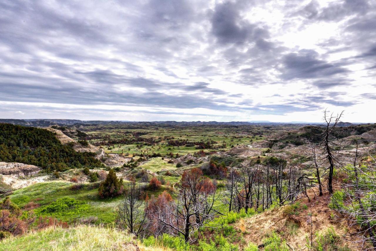 Badlands Suite Less Than 1 Mi To Teddy Roosevelt Park! Medora Exterior photo